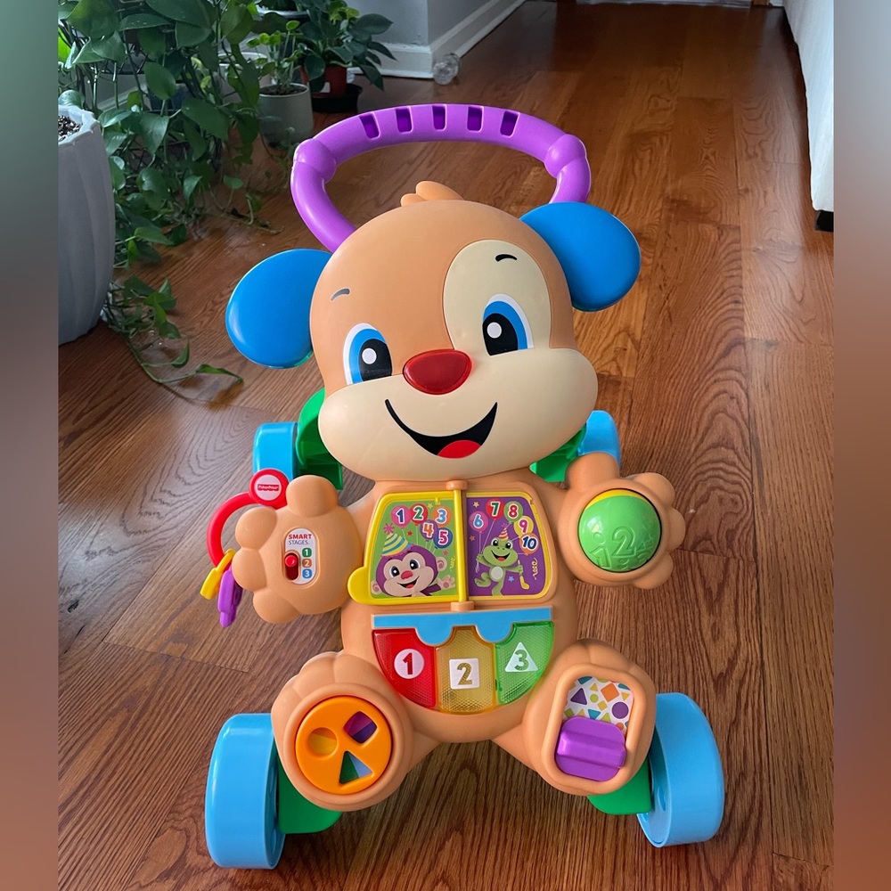 Fisher-Price Smart Stages Puppy Walker (used a couple of times- no scratches)